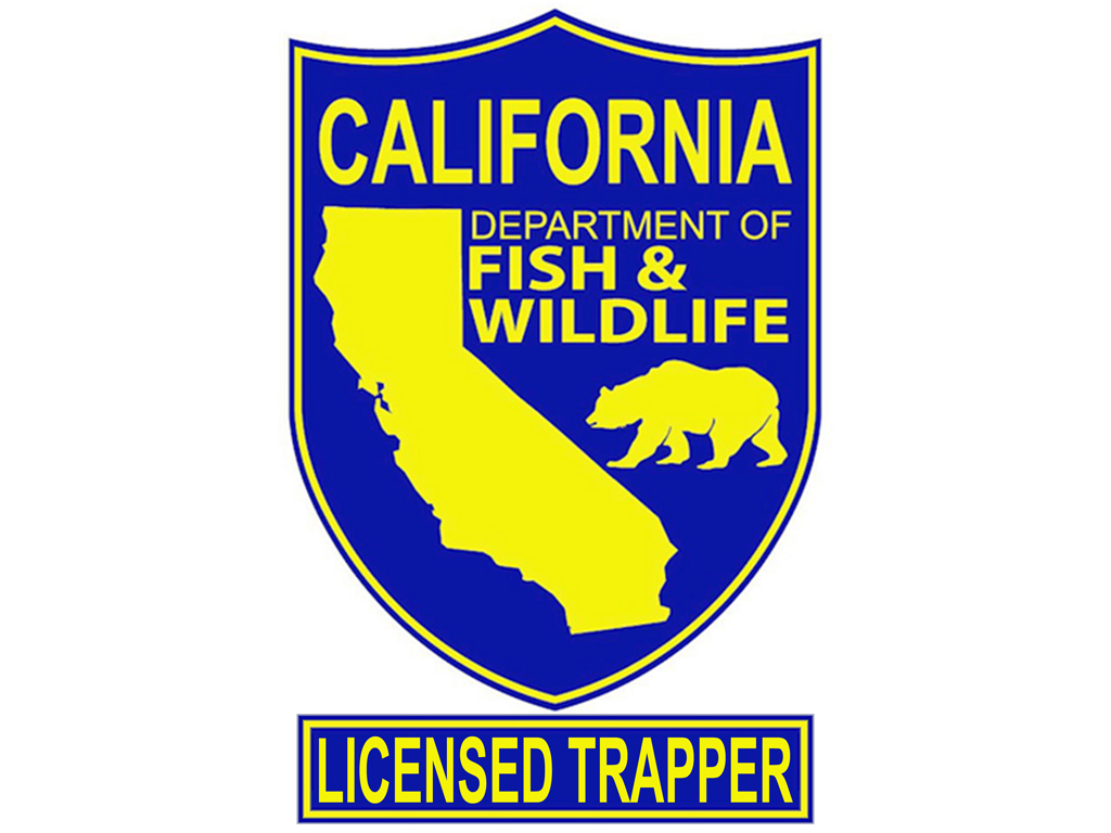 CDFW Licensed Trapper